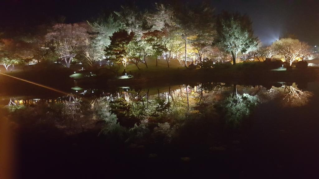 Ninano Guesthouse Gyeongju Exterior photo